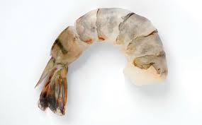 6/8 Selva Black Tiger