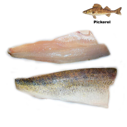 Pickerel / Walleye