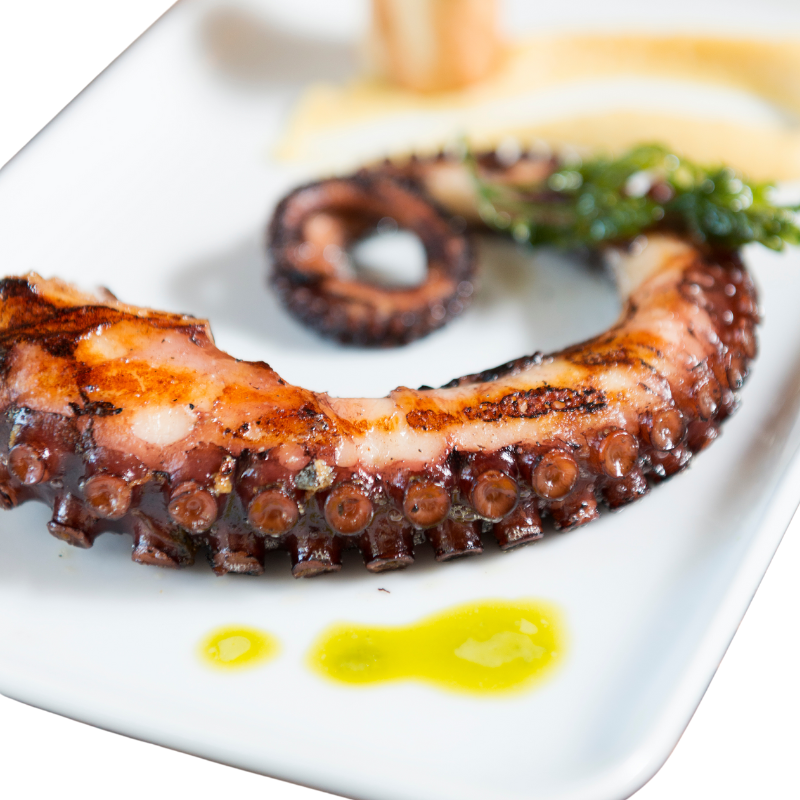 Ready to Serve 1 pound Grilled Octopus