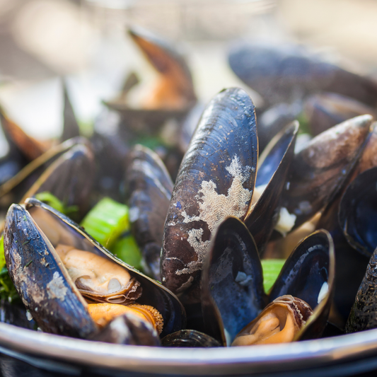 Seafood Dinners All in One Pan, October 29