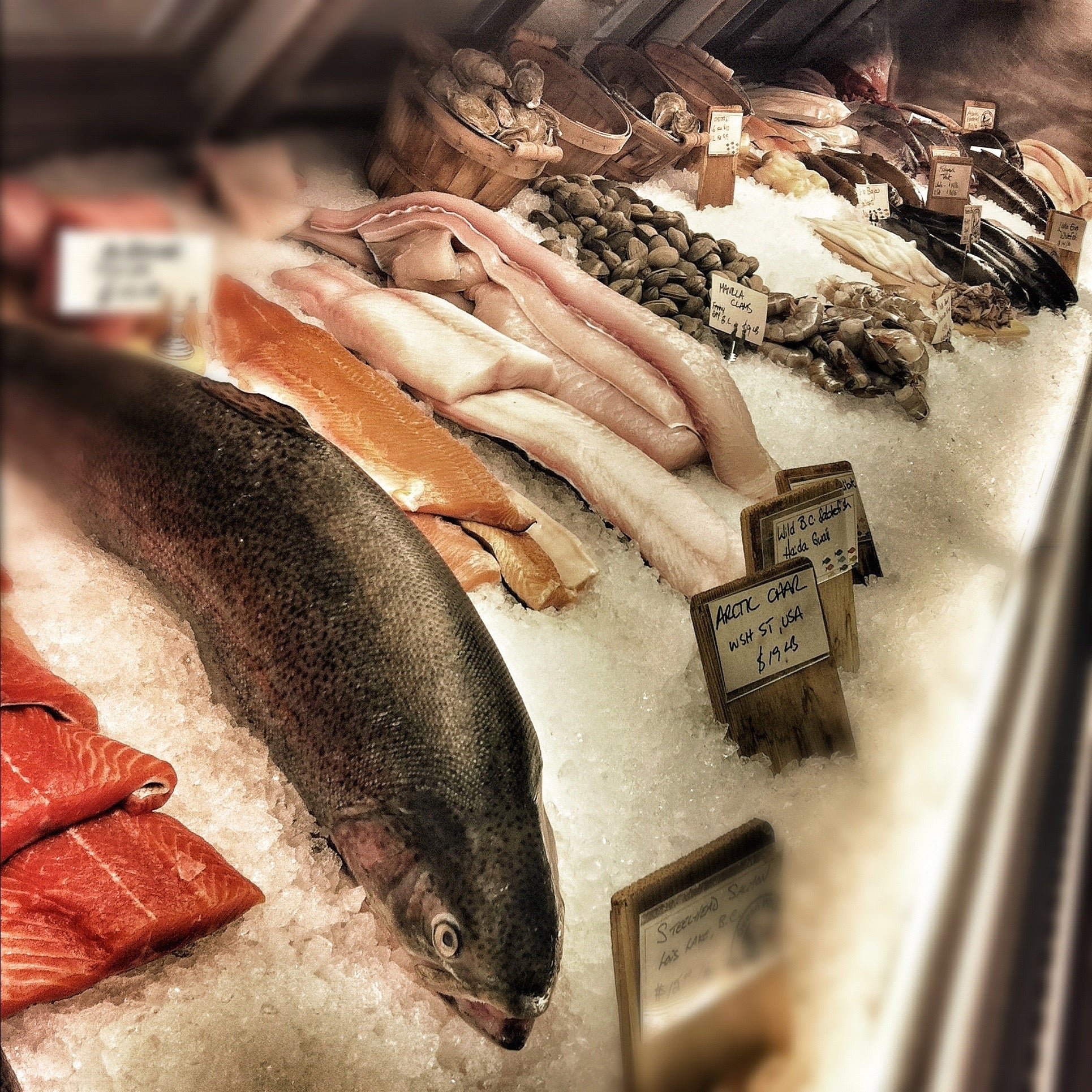 Fish shop store