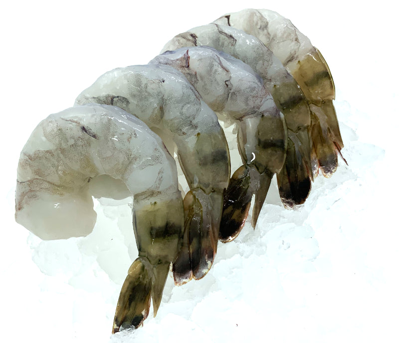 Selva Black Tiger Shrimp