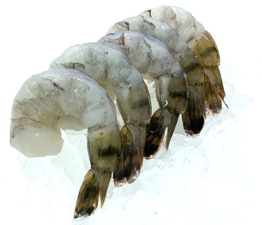 Selva Black Tiger Shrimp